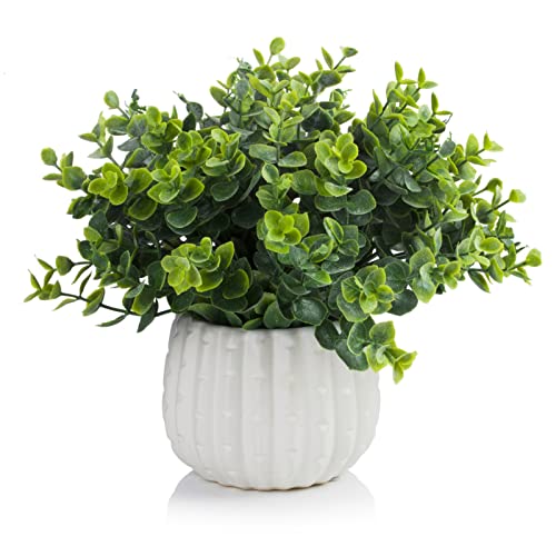 Artificial Potted Plants, Fake Green Eucalyptus Plants in White Ceramic Pots, Small Fake Plants for Living Room, Shelf, Bathroom, Home Decor Indoor - color: Pl-0011