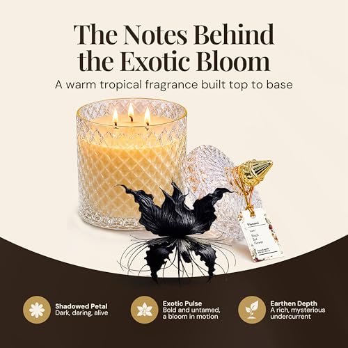 VIONAMI Black Bat Rare Flower Fragrance Luxury Scented Candle Gift | Decorative Soy Candles Birthday Gifts for Women, Elegant Glass Jar, 14.8oz, 80Hr Long Lasting Burn, Luxury Candles for Women