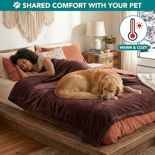 PetAmi Dog Blanket Small Medium Pet Cat Puppy Kitten, 40x29, Solid Brown | 460 GSM, Soft Sherpa Fleece Throw, Reversible Plush Couch Cover Protector Crate Carrier Sofa Bed Car Seat, Machine Washable - color: Brown/Brown Sherpa, size: Medium - 29 X 40 Inch