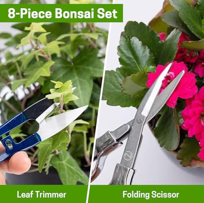 Bonsai Set 8 Pcs, Bonsai Tools Kit, Garden Tools Set | Include Pruner, Fold Scissors, Mini Rake, Bud & Leaf Trimmer Set
