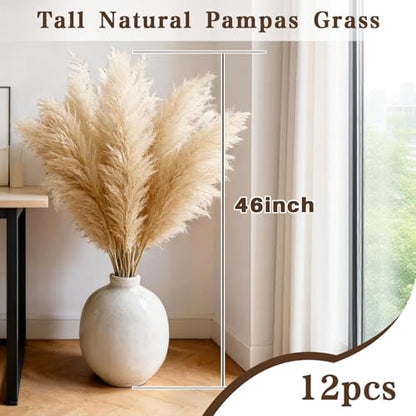 12 Stems 46" Tall Pampas Grass Decor Extra Fluffy Natural Dried Flowers | for Floor Vase Large Dried Pampas Grass, for Home Living Room, Boho Wedding Decor, Modern Farmhouse Floral Arrangements