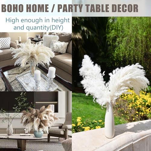 30 Stems White Pampas Grass Fluffy, Boho Home & Party Decor, Natural Pompas Grass for Living Room & Table Decor, Gift (17.7 inch, 30 White ) - size: 30white - 17 Inch