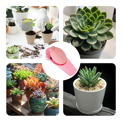 6Pcs Mini Succulent Tools Set, Garden Hand Tools Kit for Indoor Plant Care, Succulent Bonsai Miniature Garden Tool Set, Small Gardening Tools for Transplanting Digging Planting, Pink - style: Pink