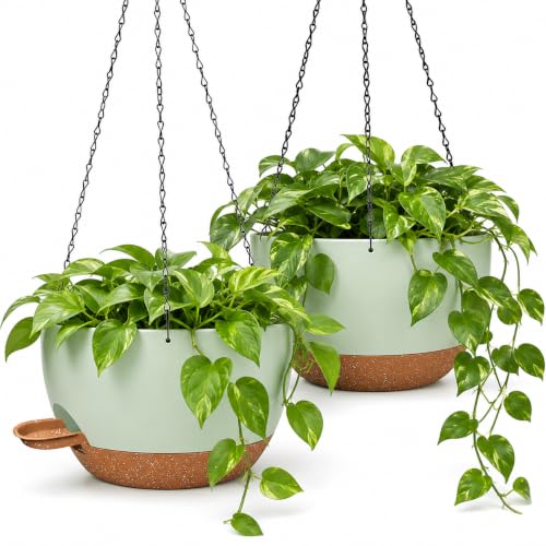 12 Inch Self Watering Hanging Planters 2 Pack, Green Brown | Plastic planters with drainage holes and saucers. Suitable for indoor, outdoor, kitchen, balcony and garden plant decor. - color: Green Brown