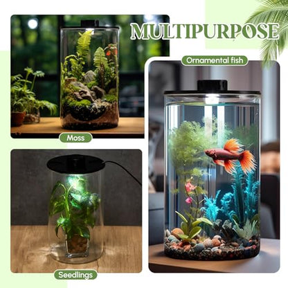 Glass Plant Terrarium Kit with LED Grow Light, Desk Terrarium for Venus Fly Trap, Succulents, Moss & Miniature Garden, Borosilicate Glass Desktop Planter for Home Office(9.8 x 5.9 Inch) - size: 9.8 x 5.9 Inch