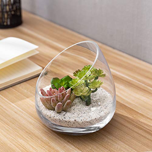 MyGift 5 Inch Premium Clear Glass Air Plant Terrarium, Mini Candy Bowl Jar, Tealight Candle Holder, Succulent Cactus Plant Vase, Set of 2 - size: Set of 2