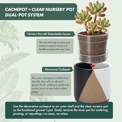 D'vine Dev 2-Pack Cachepot with Clear Pot, 3.5 in, Midnight Mesa, 93-V-A-2 | Dual-Pot System, Root Visibility, Bottom Watering Support, Enhanced Drainage, Artistic Stoneware Design, Easy Plant Care - color: Midnight Mesa, size: 3.5” Cachepot + 3“ Clear Gr