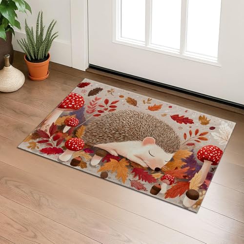 Sleeping Hedgehog Indoor Door Mat, Woodland Animal Fall Welcome 29.5"×17" Non-Woven Floor Mat, Non-Slip Doormat Rug for Front Door, Porch, Bathroom, Kitchen, Home Decor, Gifts - color: 07