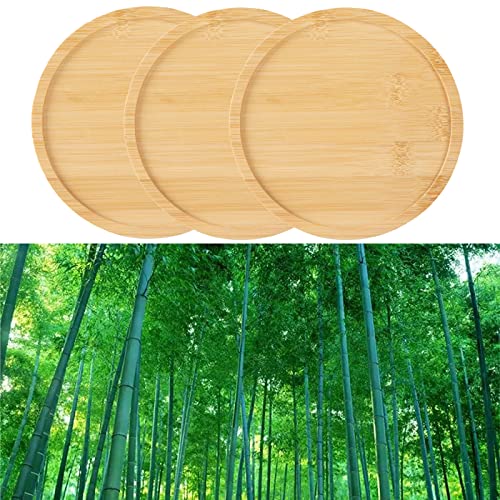 3 Pack Bamboo Saucer, 6 Inch Plant Saucer, 5" Cactus Plant Tray, Round Bamboo Tray for Modern Ceramic Flower Pot, Planter Pot, Cup Holder, Spoon Holder, Kitchen Utensil Rest - size: 6 Inch