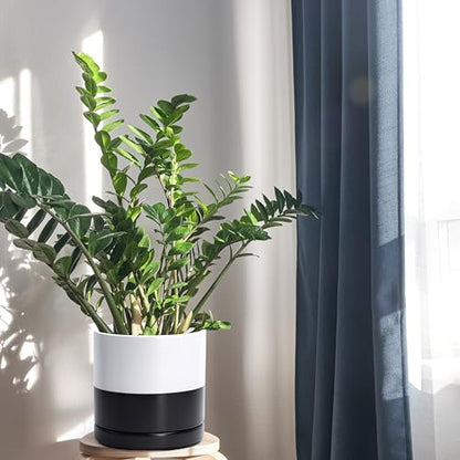 D'vine Dev 8.2 Inch Ceramic Planter Pot, Black White Two Tone, 94-O-D-L | Modern Cylinder Design, Drainage Hole & Saucer Included, Stable Structure, Elegant Home Accent - color: Layered Monochrome Black & White, size: Medium