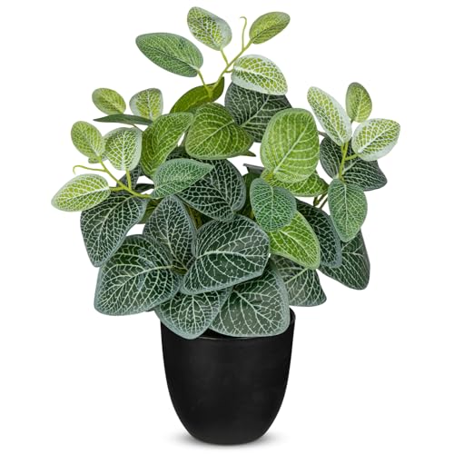 Villa Como 14.5" Artificial Plants Indoor Home Decor Small Faux Nerve Plant | Silk Fake Potted Plants for Shelves Desks Living Room Office, Decorative Faux Potted Greenery Tropical House Plant - color: #Green Nerve Plant