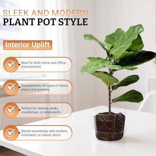 Sheer Glass Pot Planter with Drainage Holes & Tray - Decorative & Modern for All House Plants (6 Inches) - size: 6 Inches