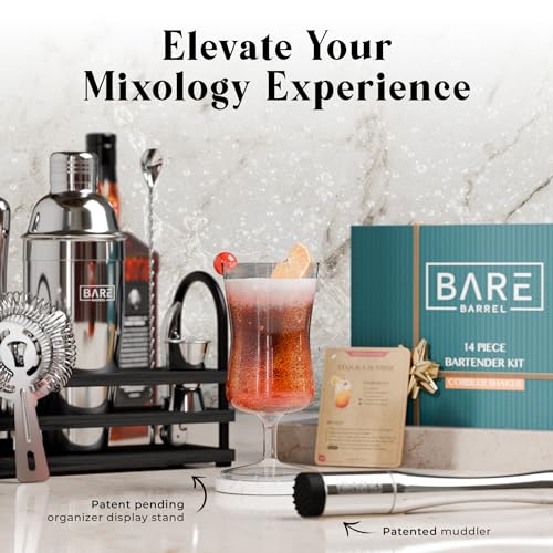 BARE BARREL® Mixology Bartender Kit Bar Set | 14-Piece Cocktail Shaker Set | Martini Barware Mixing Tools for Home Bartending | 35 Recipe Cards | Gift Set (24oz Cobbler Shaker, Silver/Black) - color: Silver/Black