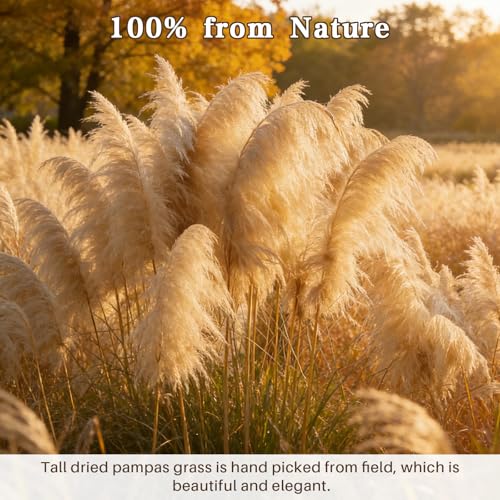 12 Stems 46" Tall Pampas Grass Decor Extra Fluffy Natural Dried Flowers | for Floor Vase Large Dried Pampas Grass, for Home Living Room, Boho Wedding Decor, Modern Farmhouse Floral Arrangements