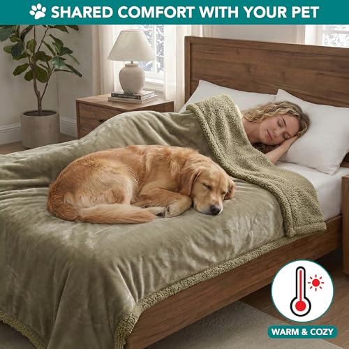PetAmi Dog Blanket Small Medium Pet Cat Puppy Kitten, 40x29, Solid Taupe | 460 GSM, Soft Sherpa Fleece Throw, Reversible Plush Couch Cover Protector Crate Carrier Sofa Bed Car Seat, Machine Washable - color: Taupe/Taupe Sherpa, size: Medium - 29 X 40 Inch