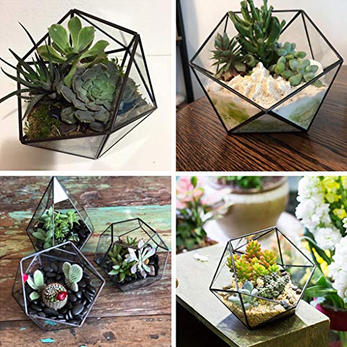 Glass Terrarium Storage Box Jewelry Holder Glass Geometric Tabletop Succulent Plant Box Planter Holder for Case Black Go - color: Black