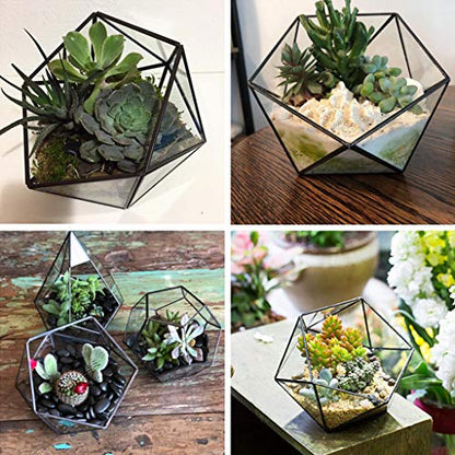 Glass Terrarium Storage Box Jewelry Holder Glass Geometric Tabletop Succulent Plant Box Planter Holder for Case Black Go - color: Black