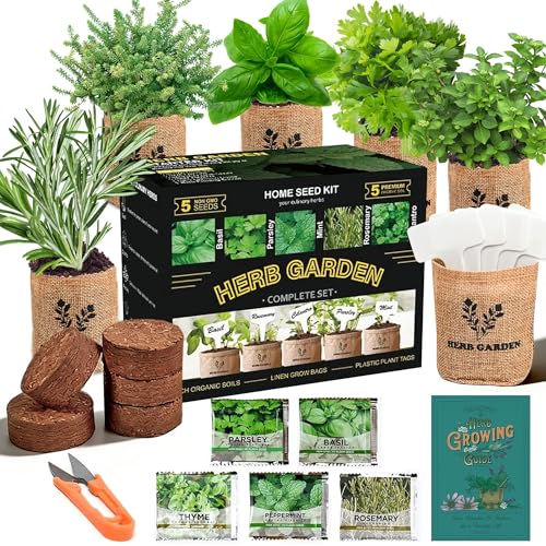 Meekear 5 Herb Indoor Starter Kit, Complete Planting Set for Kitchen Herb Garden DIY & Gift