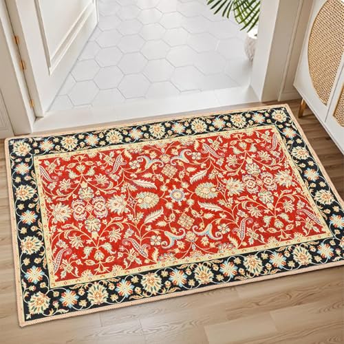Paisley Indoor Doormat,Small Area Rug Non Slip,20"x32" | Floor Doormat,Bath Rug,Throw Rugs,Rubber Backed,Machine Washable,Bathroom,Entryway,Kitchen,Bedroom,Hallway - color: Paisley1