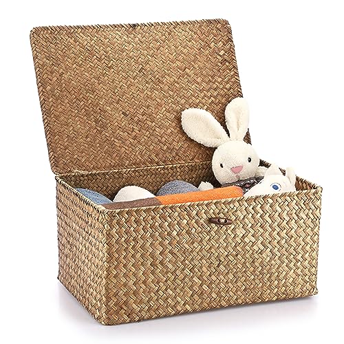 Hipiwe Wicker Shelf Baskets Bin with Lid Woven Storage Box, Coffee X-Large | Handmade Seagrass Basket Storage Bins Rectangular Household Basket Boxes for Shelf Wardrobe Home Organizer - color: Coffee, size: X-Large