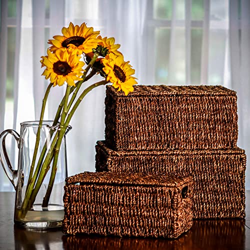 Trademark Innovations Set of 3 Rectangular Seagrass Baskets with Lids, Brown (Small) - color: Brown