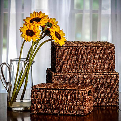 Trademark Innovations Set of 3 Rectangular Seagrass Baskets with Lids, Brown (Small) - color: Brown