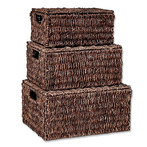 Trademark Innovations Set of 3 Rectangular Seagrass Baskets with Lids, Brown (Small) - color: Brown