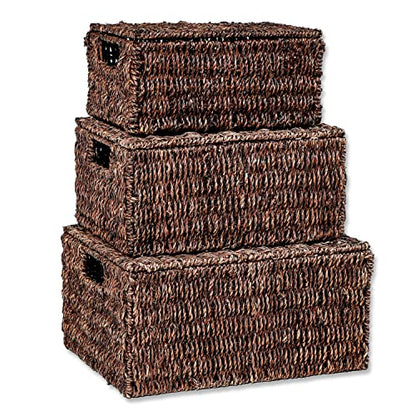Trademark Innovations Set of 3 Rectangular Seagrass Baskets with Lids, Brown (Small) - color: Brown