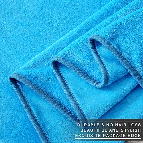 Polar Fleece Blankets Twin Size Light Blue for The Bed Extra Soft Brush Fabric Super Warm Sofa Blanket 66" x 90"(Lake Blue Twin) - color: Lake Blue, size: Twin (90-Inch-by-66-Inch)