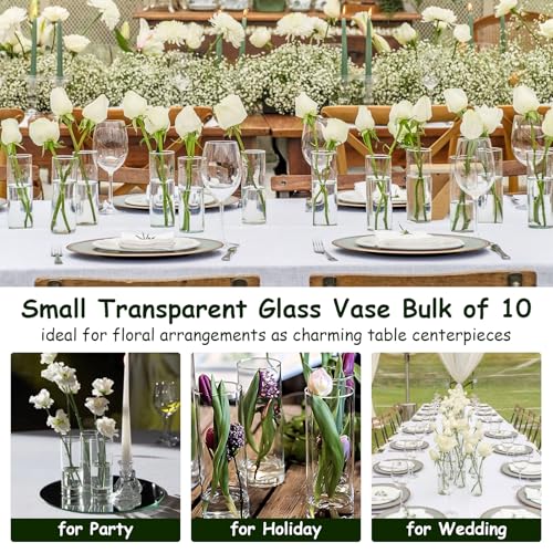 5.9" Cylinder Glass Bud Vases Set of 10 Mini Clear Skinny Vase Small Glass Vases for Flowers Cylinder Vases for Centerpieces Bulk Bud Vase Floral Vase Decor for Wedding Bridal Shower Birthday