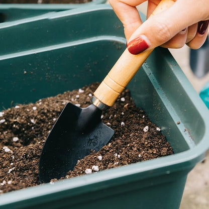 3PCS Small Garden Tools Set - Mini Garden Tools Set with Trowel, Shovel & Hand Rake Made of Rust-Resistant Iron & Solid Wood for Indoor Plants, Succulents, Potting & Repotting