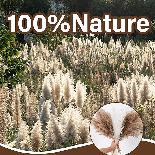 50 PCS Tall Pampas Grass for Floor Vase – 17" Natural Fluffy Dried Pampas Grass Stems, Large 20 White & 30 Brown Pоmpas Grass, Boho Pampas for Wedding, Home Decor, Halloween, Christmas