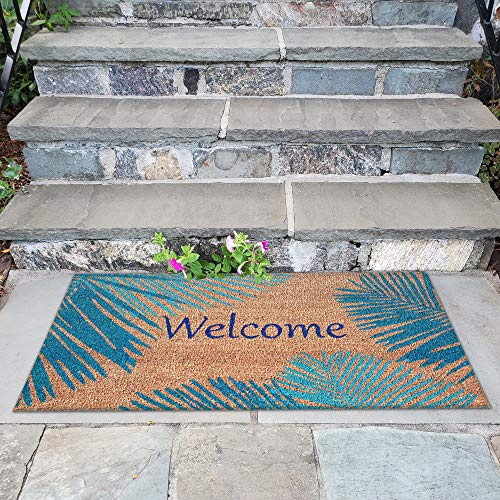 Liora Manne Natura Door Mat - Novelty Designs, Durable Natural Coir & Vinyl Back, Long Lasting Color, Foyers, Porches, Patios & Decks, Welcome, 2' x 3'