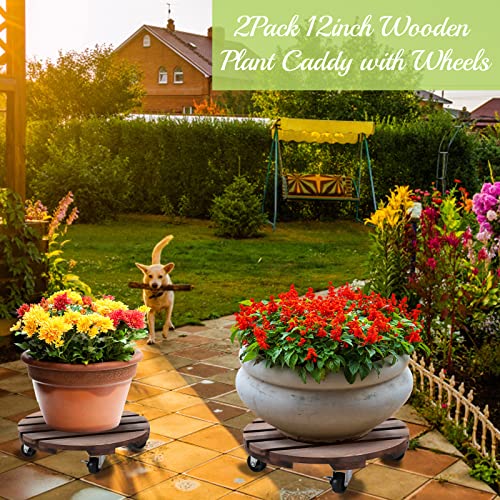 HOHY 2PCS Plant Caddy 12" Plant Stand with Wheels Wood Rolling Plant Stand | Plant Dolly Rollers with 360° Metal Lockable Casters, Heavy Duty Planter Caddies, Easy to Move, 240 Lb Capacity