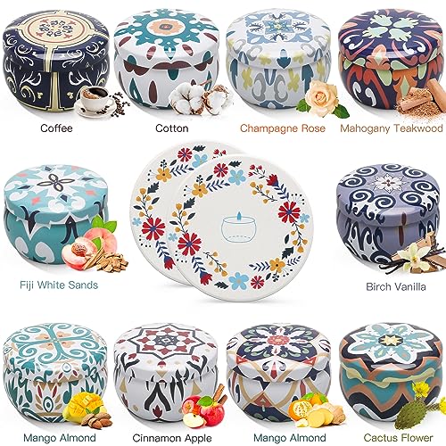 Scented Candles Gift Set, 10 Pack Soy Wax Aromatherapy Candles | 250-Hour Total Burn, Two Coasters Included, Home Fragrance, Relaxation & Self Care, Bath Yoga Use, Gift Set for Women - color: Scented Candles-10 Pack