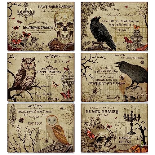 Ganeen 6 Pcs Halloween Kitchen Towels Set Halloween Skeletons Crows Owl Dish Vintage Terror Hand Cooking Baking Tea Towels for Home Bathroom Cooking Baking - color: Classic