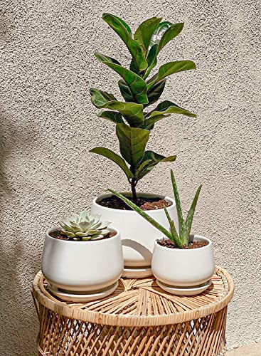 LE TAUCI Ceramic Plant Pots, 4.1+5.1+6.5 inch, Set of 3, Planters with Drainage Hole and Saucer, Indoor Flower Pot with Hole Mesh Pad, Gifts for Mom, White - color: White