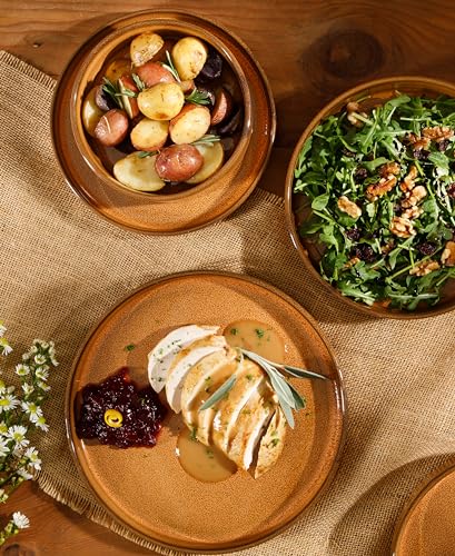 Two Time Oprah's Favorite Things Winner - Santorini Mist Double Bowl Terracotta Reactive Glaze Plates and Bowls Dinnerware Set - Amber, Service for Four (16pcs) - color: Amber
