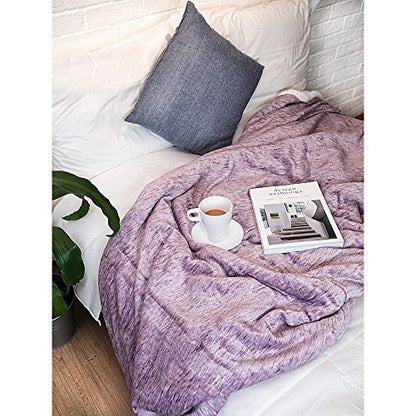 Premium Sherpa Melange Throw Blanket for Couch, Sofa by Pavilia | Soft, Fluffy, Plush, Warm, Cozy | Fuzzy Lightweight Microfiber, Purple Wine Luxury Modern Reversible TV Blanket | 50 x 60 Inches - color: Melange Wine, size: 50 x 60 Inches