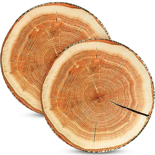 2 Pcs Round Throw Pillow Decorative Wood Slice Floor Cushion,Emulation | 3D Digital Printing, Forest Decor, Soft Circle Pillow, Cute Stump Camping, Memory Foam for Classroom, Home, Chair, Bedroom - color: Emulation