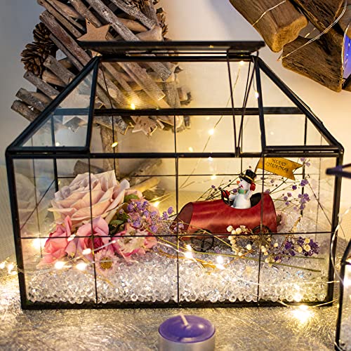 FerrisIsland Glass Aquarium Greenhouse Succulent Plant Aquarium Container | Glass Aquarium Greenhouse Succulent Plant Aquarium Aquaculture Container Desktop Decoration Garden DIY Kit(7.3"H) - size: 9.1"L x 7.3"H 5.4"W