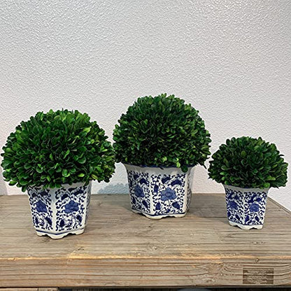 Galt International 9.5" Naturally Preserved Real Boxwood Ball in Hand-Painted Blue & White China Pot Planter Green Indoor Plant Home Decor (9.5" Tall Topiary) - size: Medium 9.5" Hexagon Pot