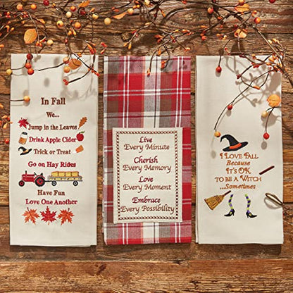 Park Designs Live Every Minute Dishtowel Set of 2 | 100% Cotton | Embroidered Inspirational Quote | Red & Cream Decor - color: Live Every Minute Dishtowel Set of 2