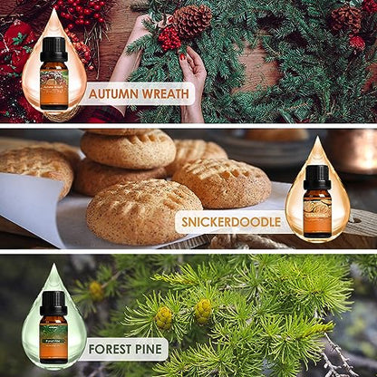 ARVIDSSON Autumn Fragrance Oil Set, Fall Essential Oils for Diffuser | Pumpkin Spice, Cinnamon, Spiced Cider, Snickerdoodle, Autumn Wreath, Pine, Cozy Aromatherapy Oils Gift, 6x10ml - color: Orange
