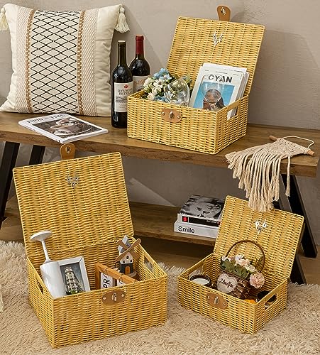 Wicker Storage Baskets with Lids, Set of 3 Decorative Storage Boxes For Organizing, Woven Baskets with Leather Lock and Handles (Beige)