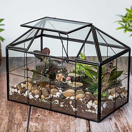 FerrisIsland Glass Aquarium Greenhouse Succulent Plant Aquarium Container | Glass Aquarium Greenhouse Succulent Plant Aquarium Aquaculture Container Desktop Decoration Garden DIY Kit(7.3"H) - size: 9.1"L x 7.3"H 5.4"W