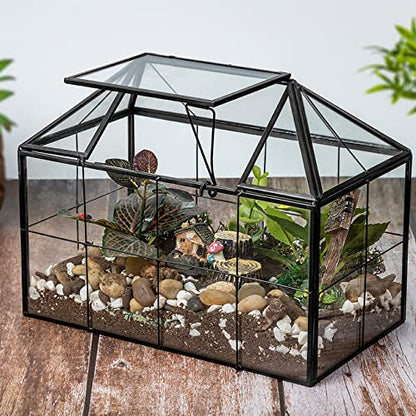 FerrisIsland Glass Aquarium Greenhouse Succulent Plant Aquarium Container | Glass Aquarium Greenhouse Succulent Plant Aquarium Aquaculture Container Desktop Decoration Garden DIY Kit(7.3"H) - size: 9.1"L x 7.3"H 5.4"W