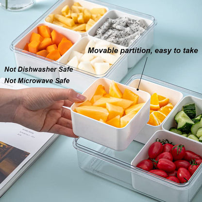 MANO Serving Tray for Party Divided Veggie Tray with Lid Sealed Sectioned Fruit Snack Serving box Vegetable Storage with 4 Compartments Snackle Box Charcuterie Container Fridge Organizer