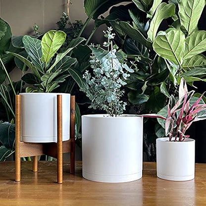 D'vine Dev 3-Pack Plastic Pots & Saucers, 6.5/8/10 in, White, 74-V-A-4 | Multi-Size Options, Lightweight Durable, Matte Finish, Cylinder Shape, Drainage Holes, Sleek Design, Detachable Saucer - color: Matte White, size: Large