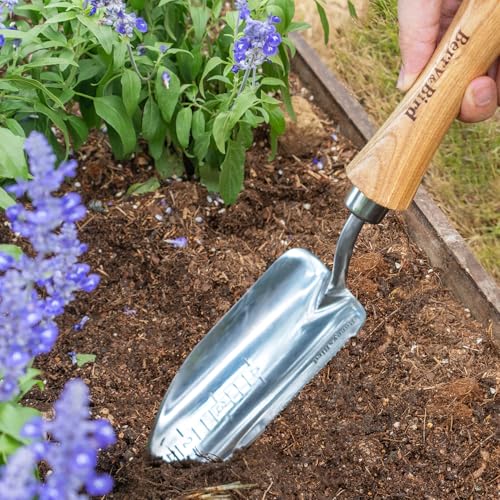 Berry&Bird Potting Trowel, Stainless Steel Serrated Hand Shovel, Wood Handle Garden Trowel Tool with Measuring Scale for Effortless Digging,Roots，Planting, Cutting and Transplanting - color: Potting Trowel